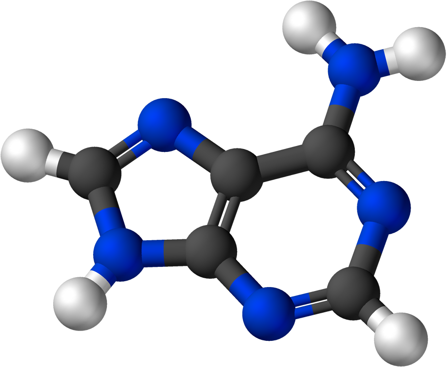 Adenine