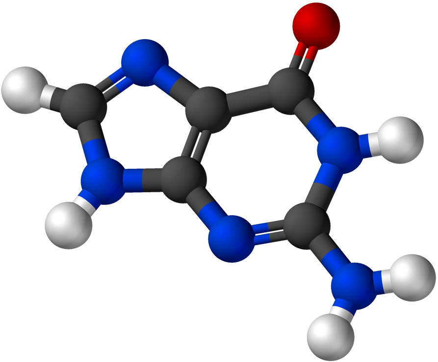 Guanine